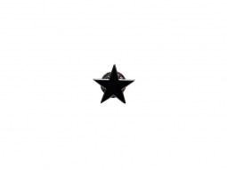 Pin Estrella